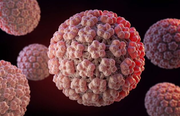 واکسیناسیون HPV- زگیل تناسلی